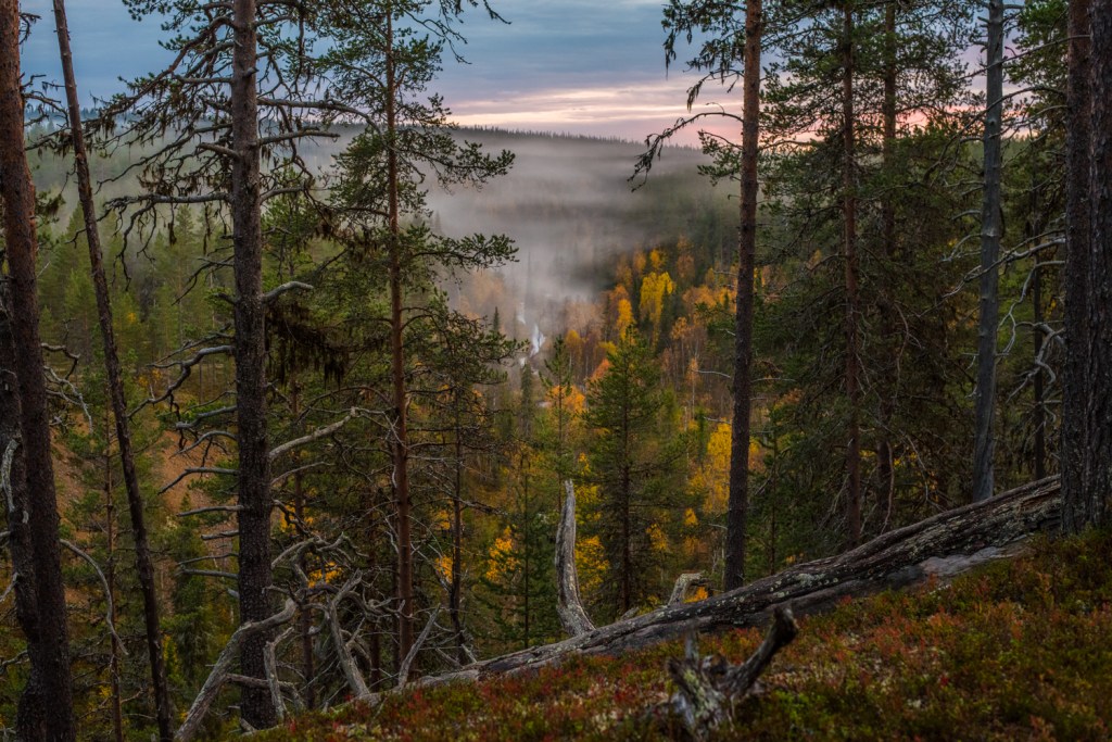 Ruskavaellus Urho Kekkoksen kansallispuistossa, osa 1